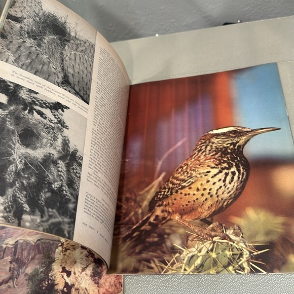 VINTAGE Arizona Highways Magazines (2) January and March 1954 - Picture 10 of 16